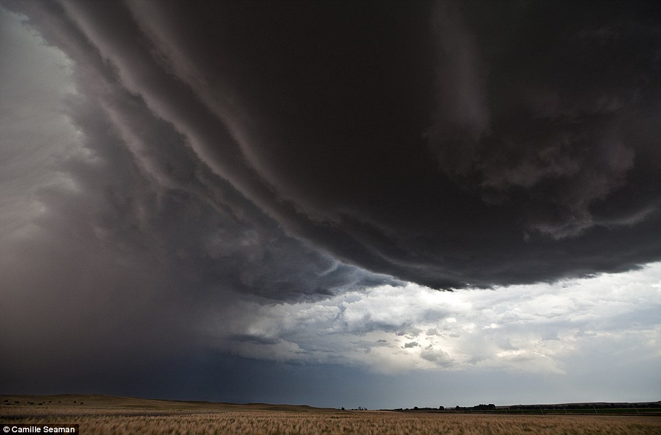 ��Ӱʦ��׽�������������𺳱���