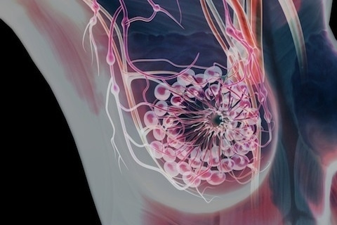 ��̾��ҽѧ3D������ͼ ��������ͼ