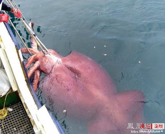 �����𾪵ľ������� �����������Ȥͼ��