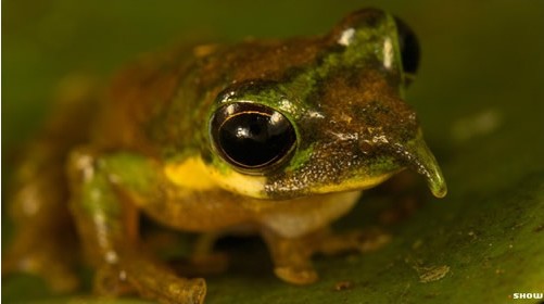 ����ı����ܺ����Ȳ�ݮз ����Ȥ��