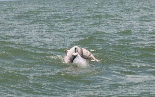 �������������������ؼ� ��������