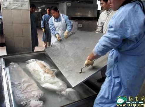 ʬ�岩��� ����ʬ��ӹ��ֳ� ��С���룡