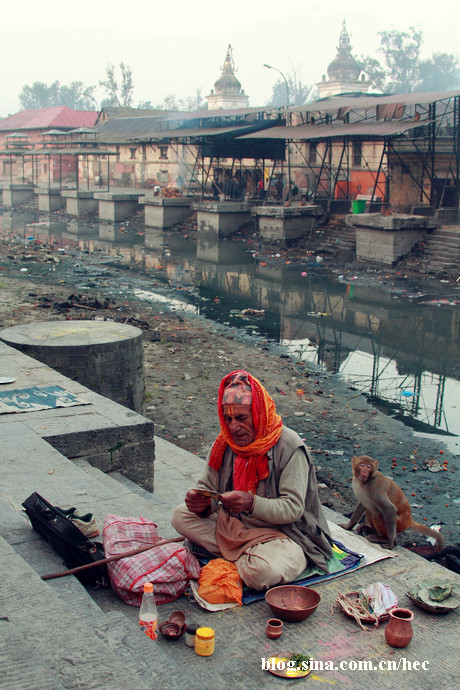 �Ჴ�����˿ֲ��Ļ��ᡪ��������