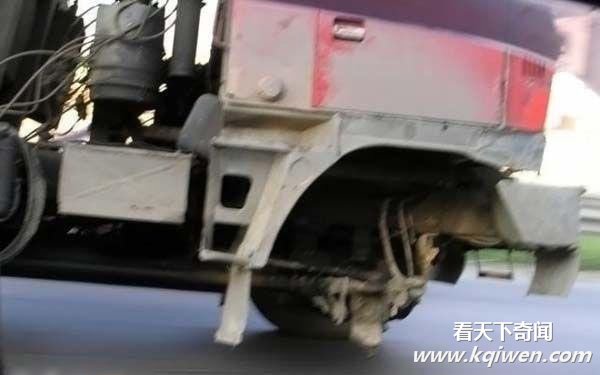 ʷ����ţ˾�� ������������������(��ͼ)