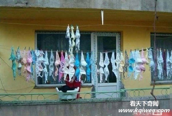 ���ڵ�Ů��ѧ���ޱȷ�� Ұ��ʮ��(��ͼ)