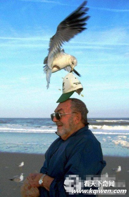 ɳ̲�����������˲���